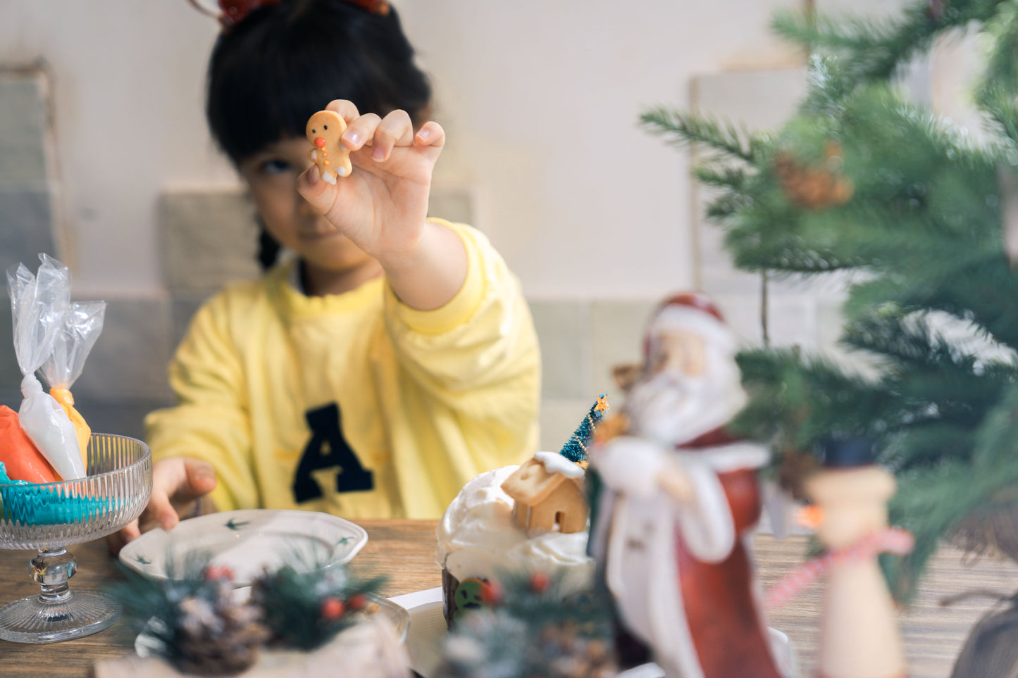 瑪莉快樂過聖誕 5" Wish Mary A Merry Christmas